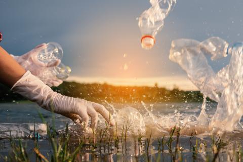 © AdobeStock_sawitreelyaon