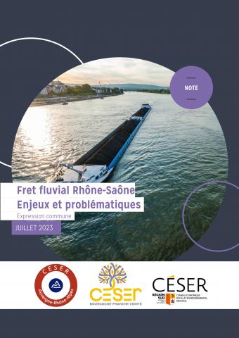 Fret fluvial Rhône-Saône. Enjeux et problématiques Fret fluvial Rhône-Saône. Enjeux et problématiques