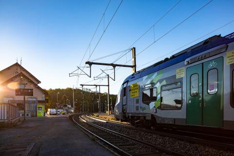 TER